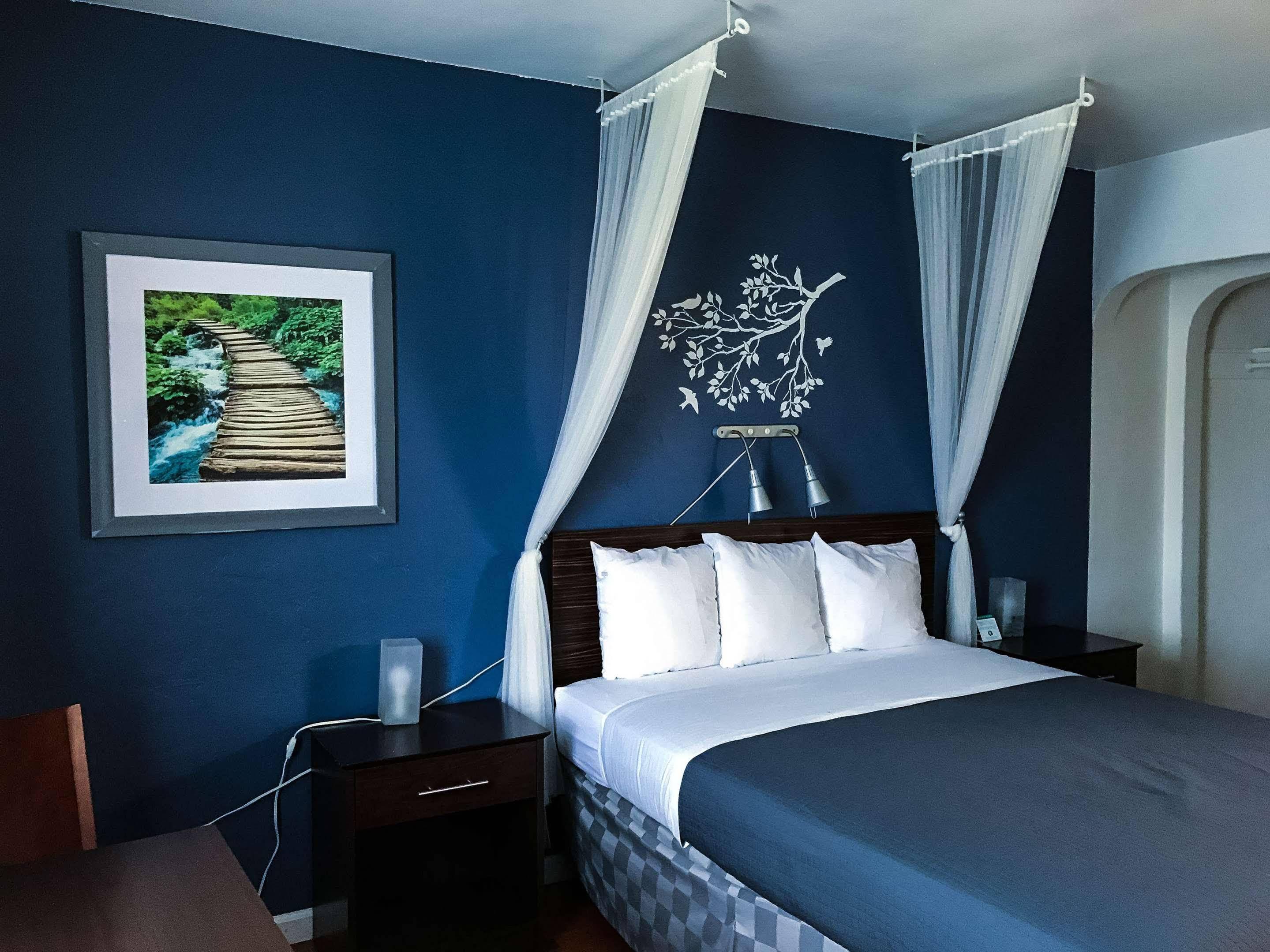 Golden Bear Hotel - Surestay Collection By Best Western Berkeley Exterior photo